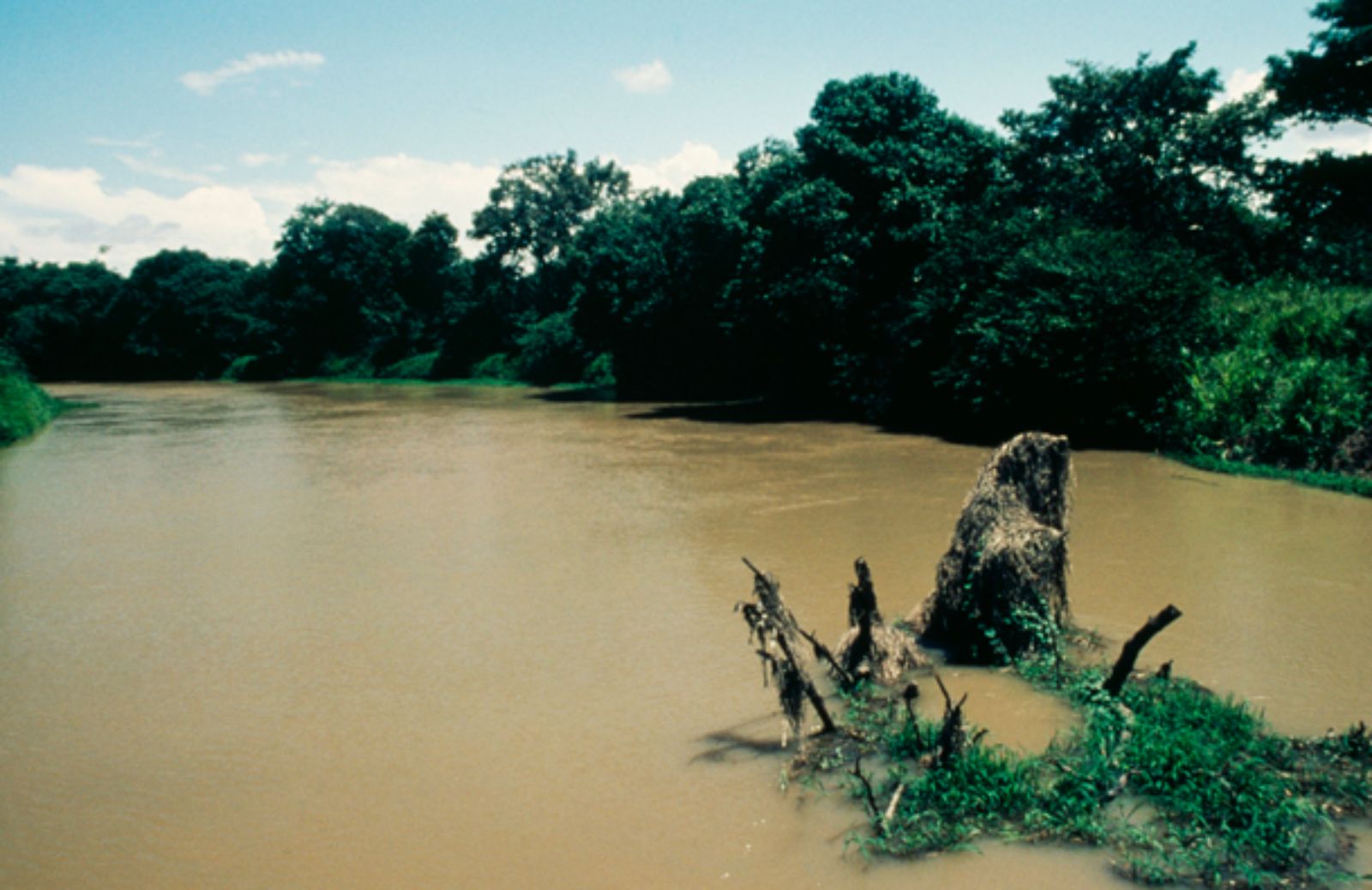 Sul Rio Negro per vivere l’Amazzonia