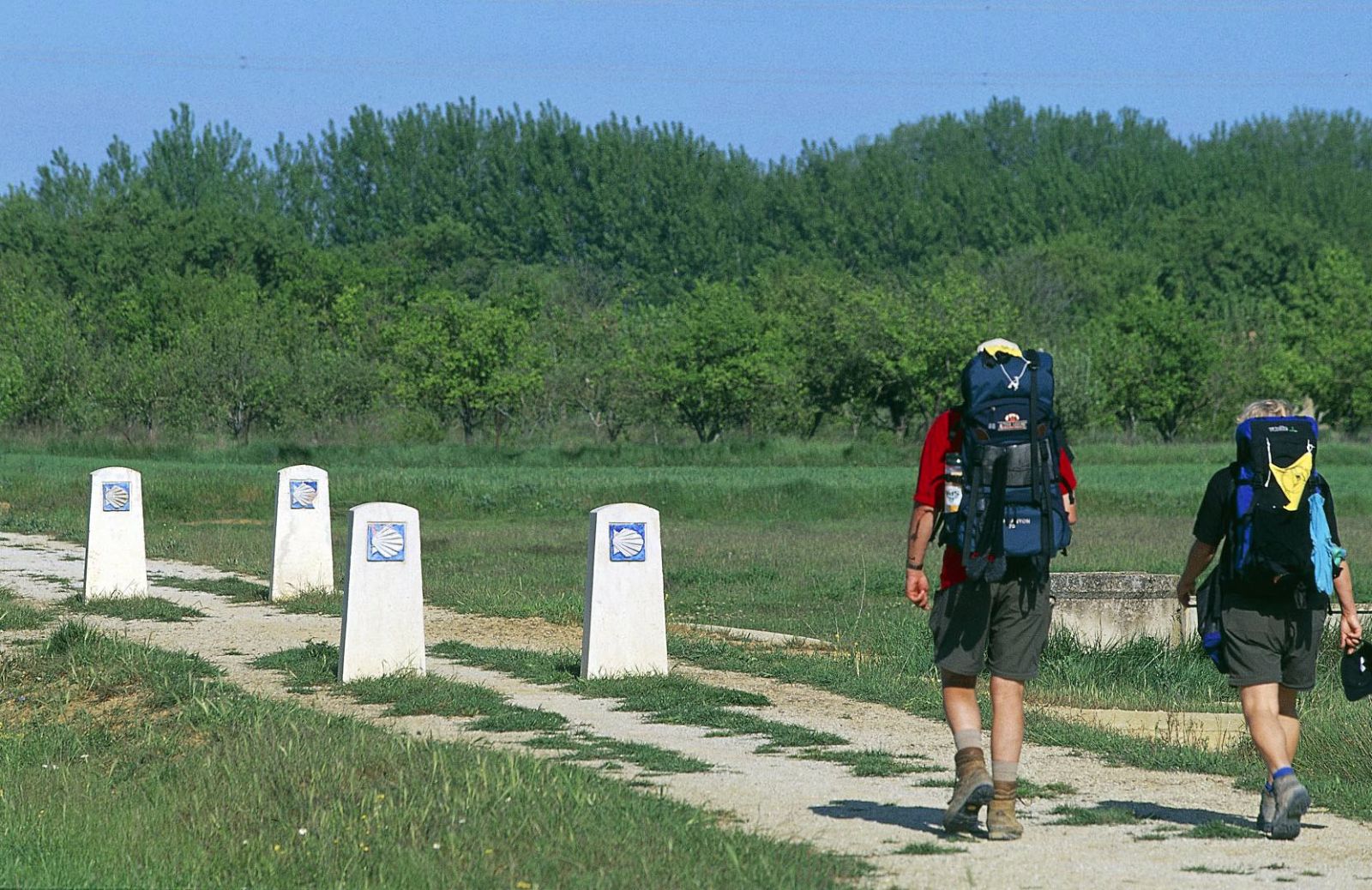 Un’esperienza unica, il Cammino di Santiago de Compostela!