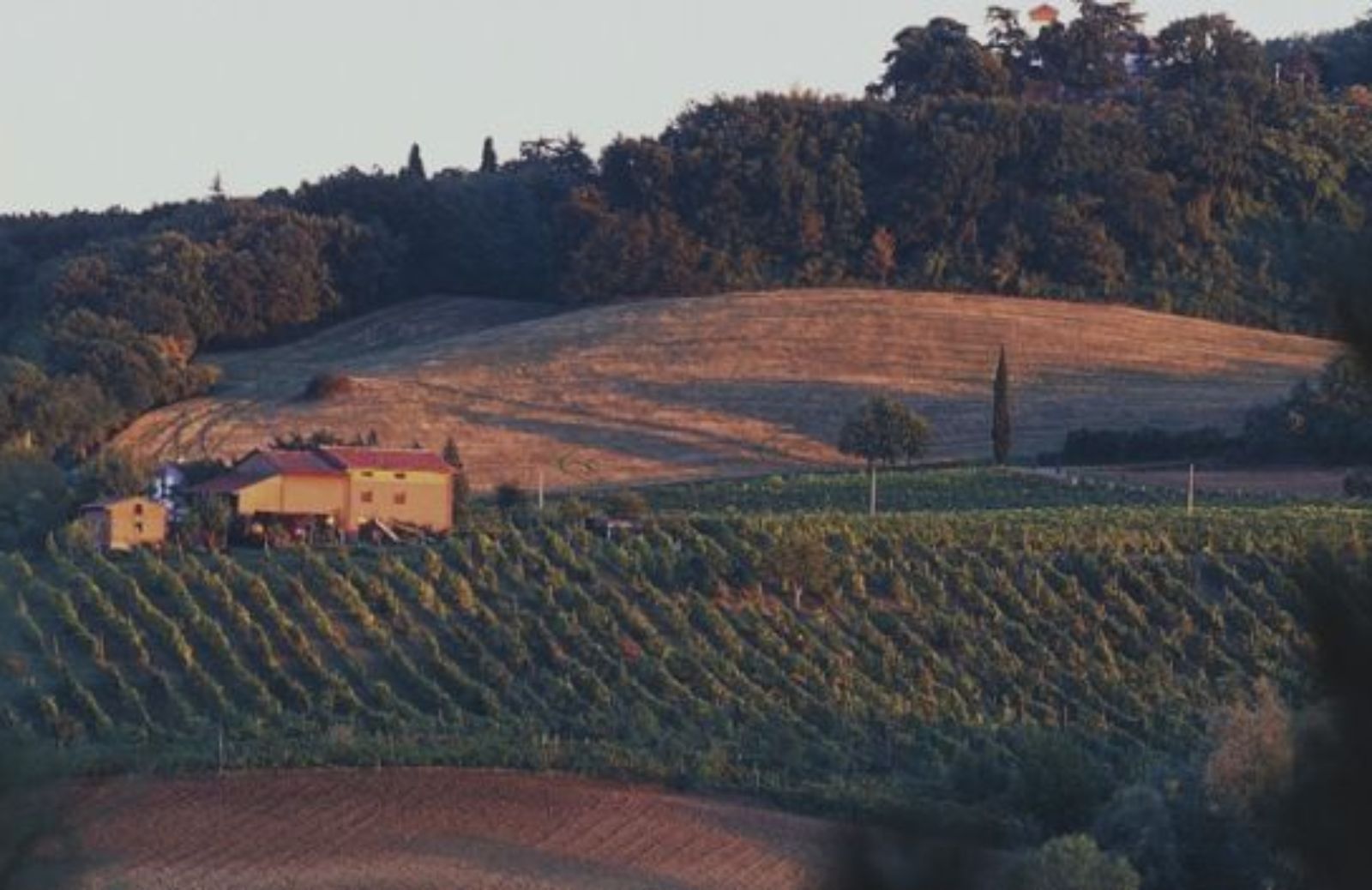 Un itinerario 'gastroculturale nella ‘Romagna profonda'