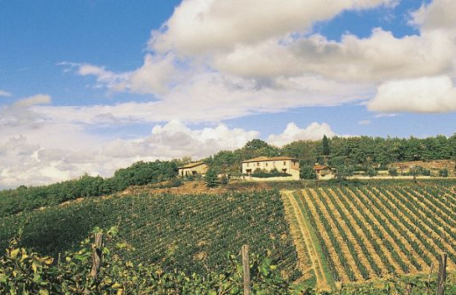 Ballare da soli sulle colline del Chianti