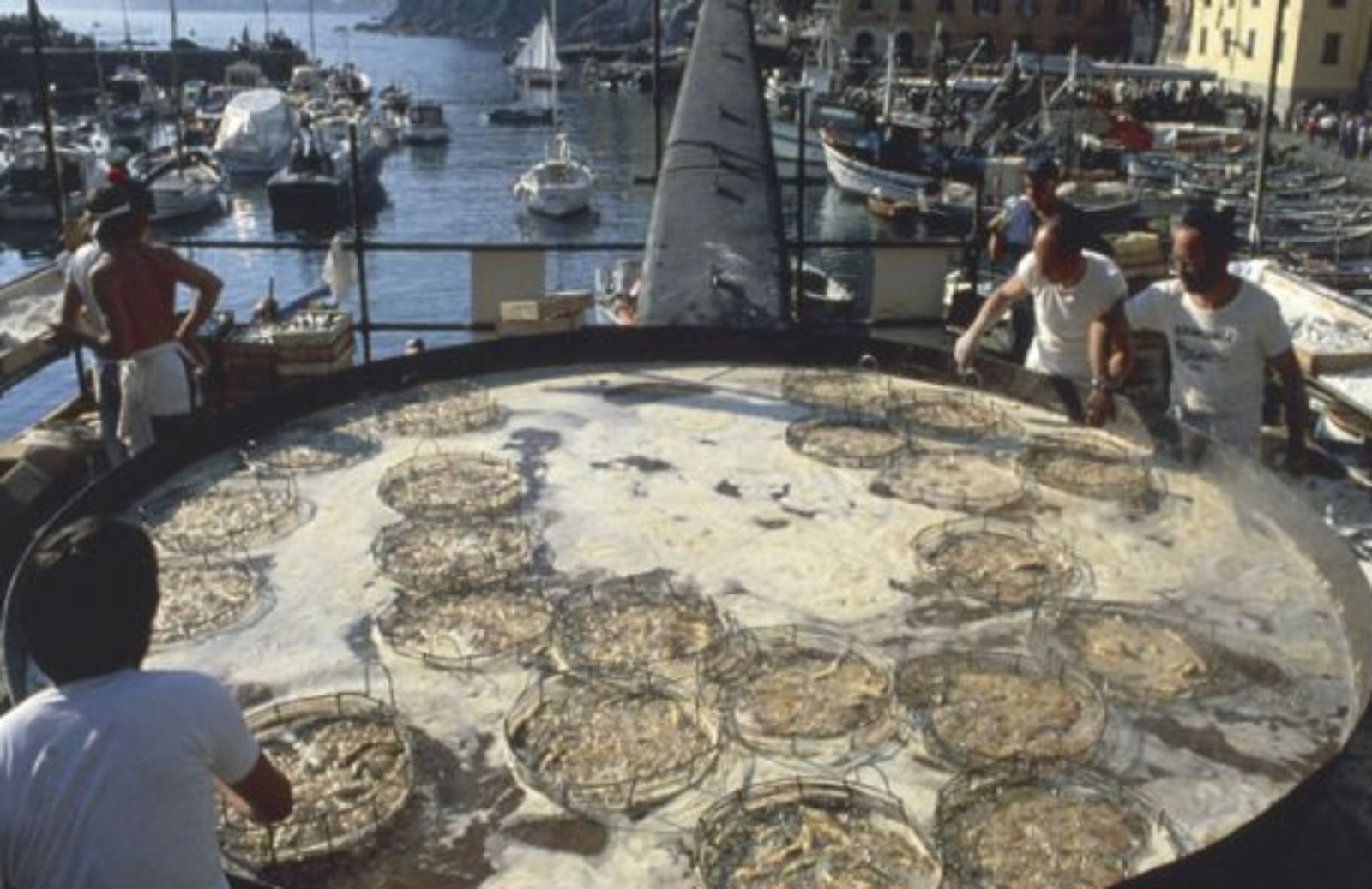 Camogli, sapore di mare