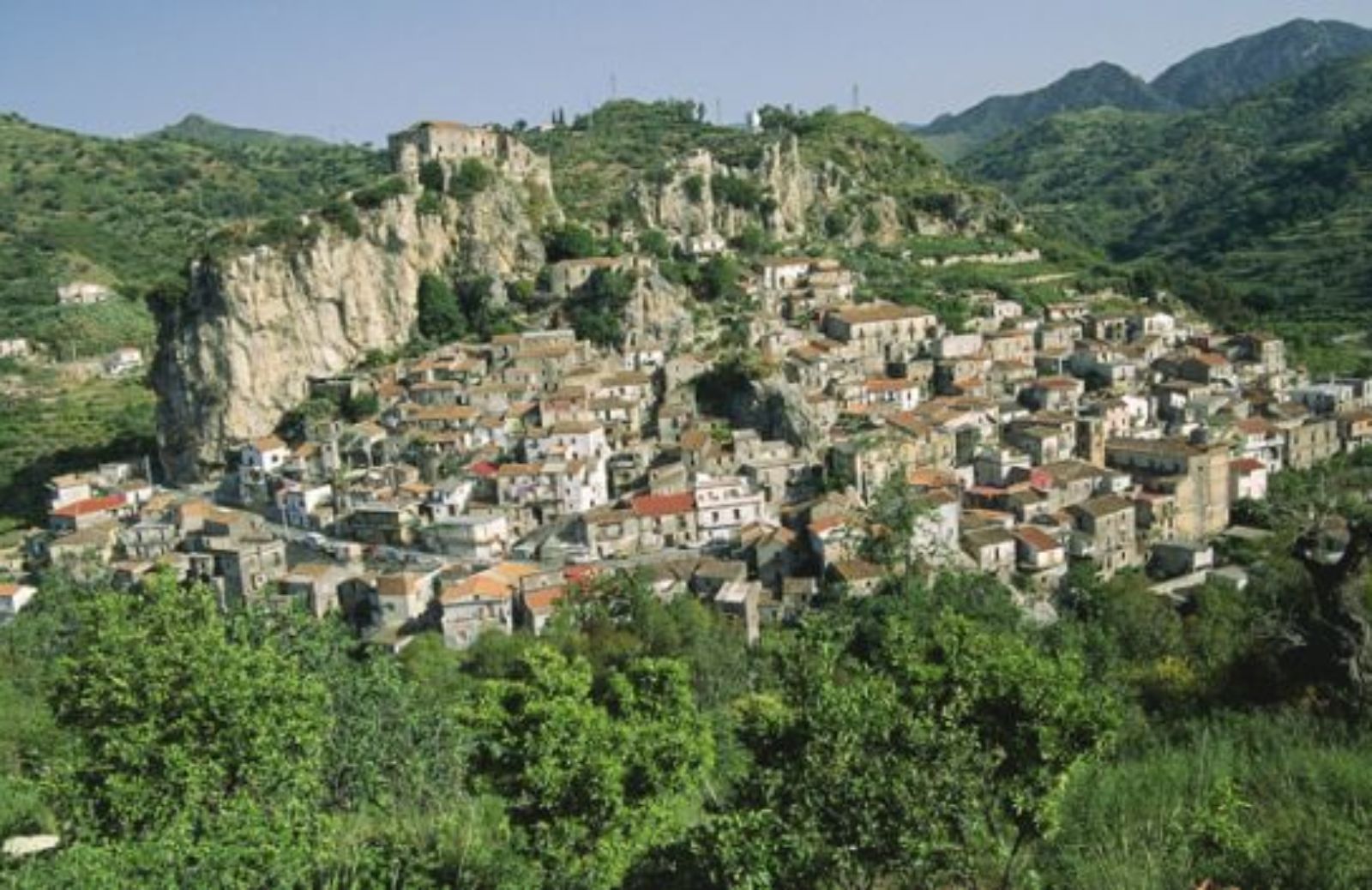 Che spettacolo questa natura!