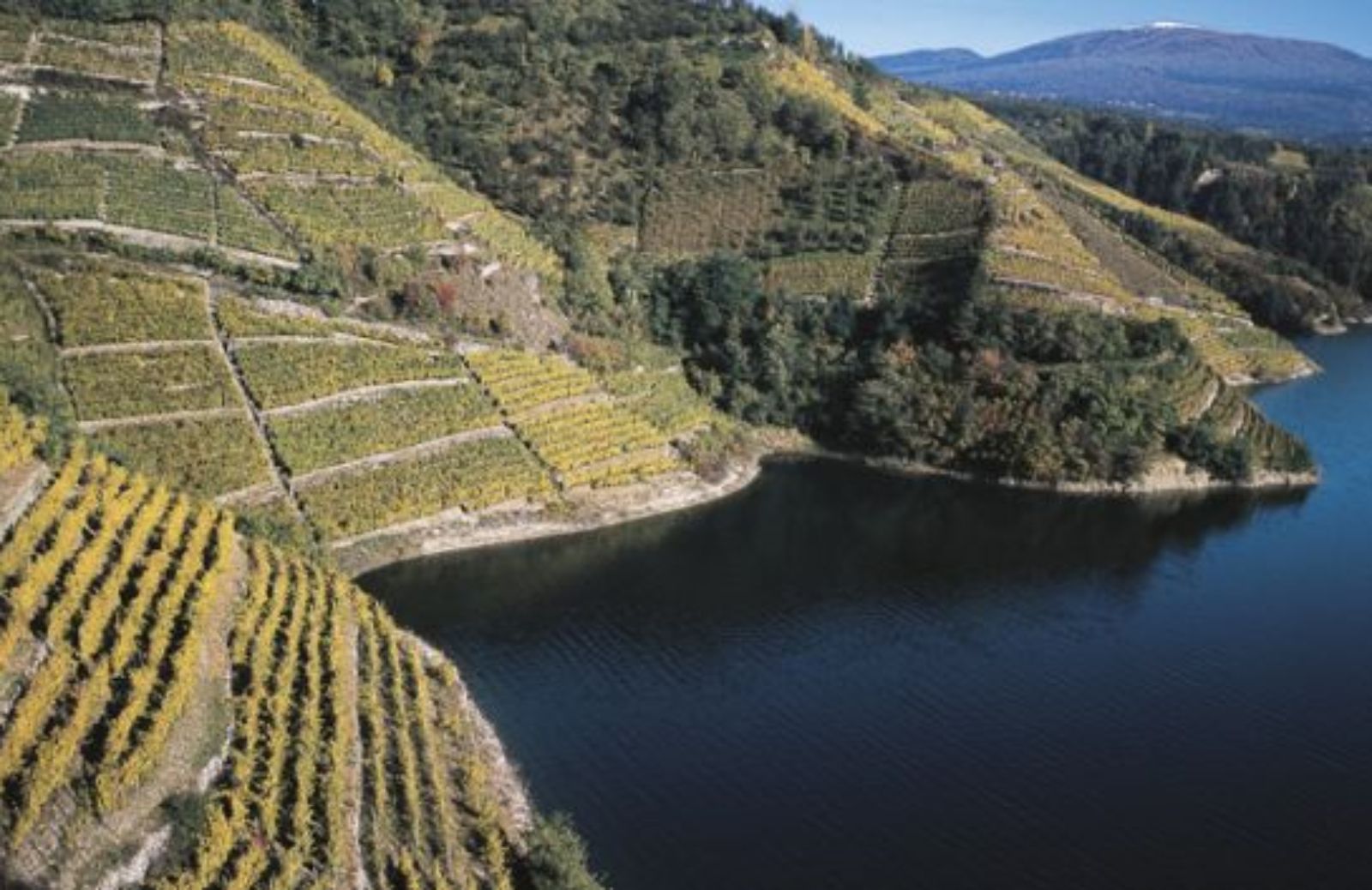 Dal Garda alla Val di Non