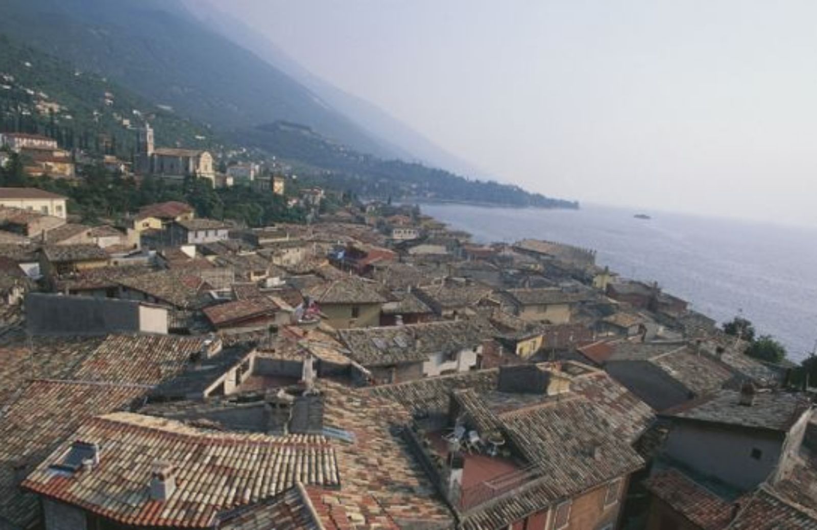 Dalla Valpolicella alla Riviera degli Olivi