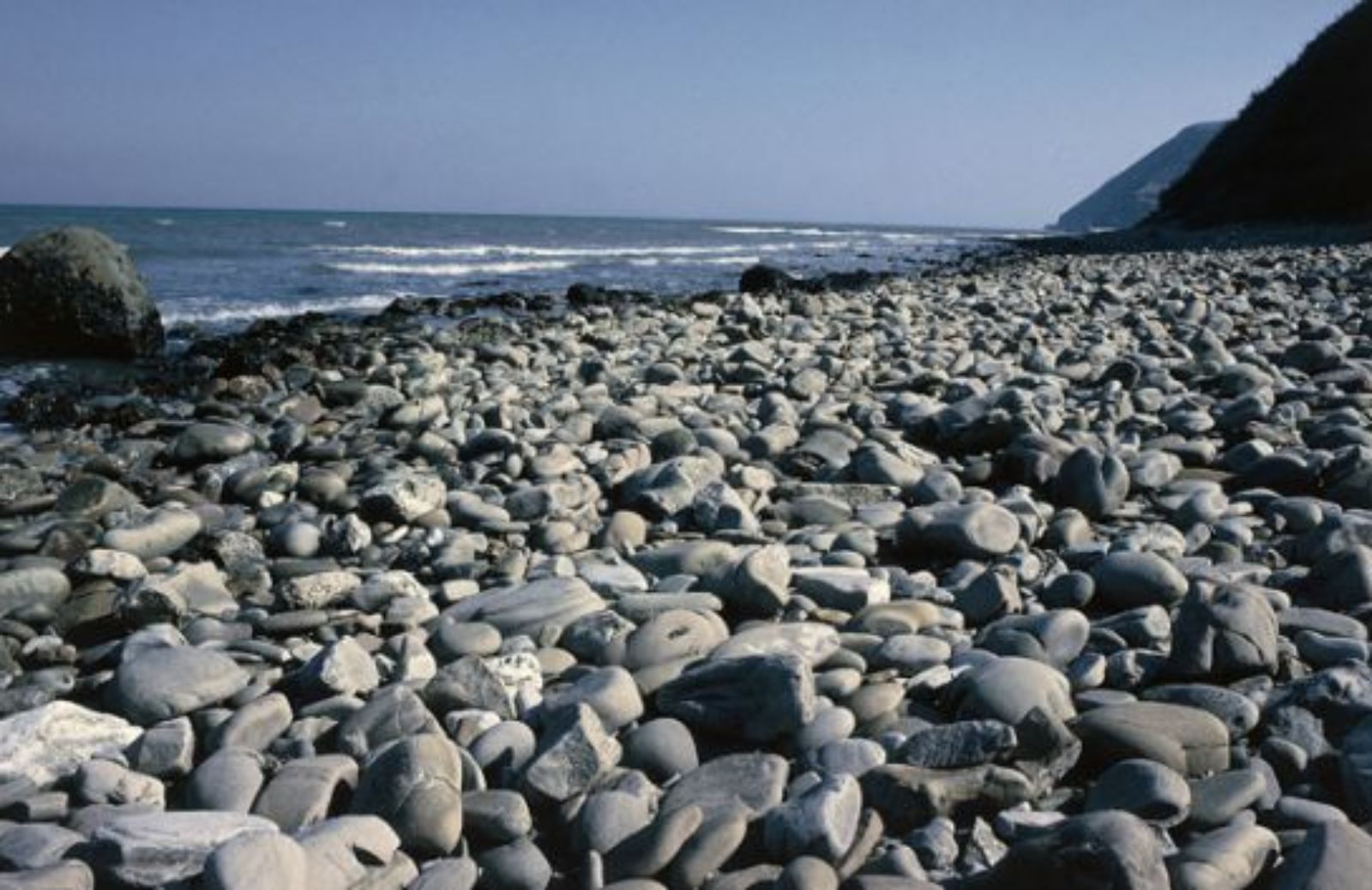 Dalle colline al mare: Monte San Bartolo