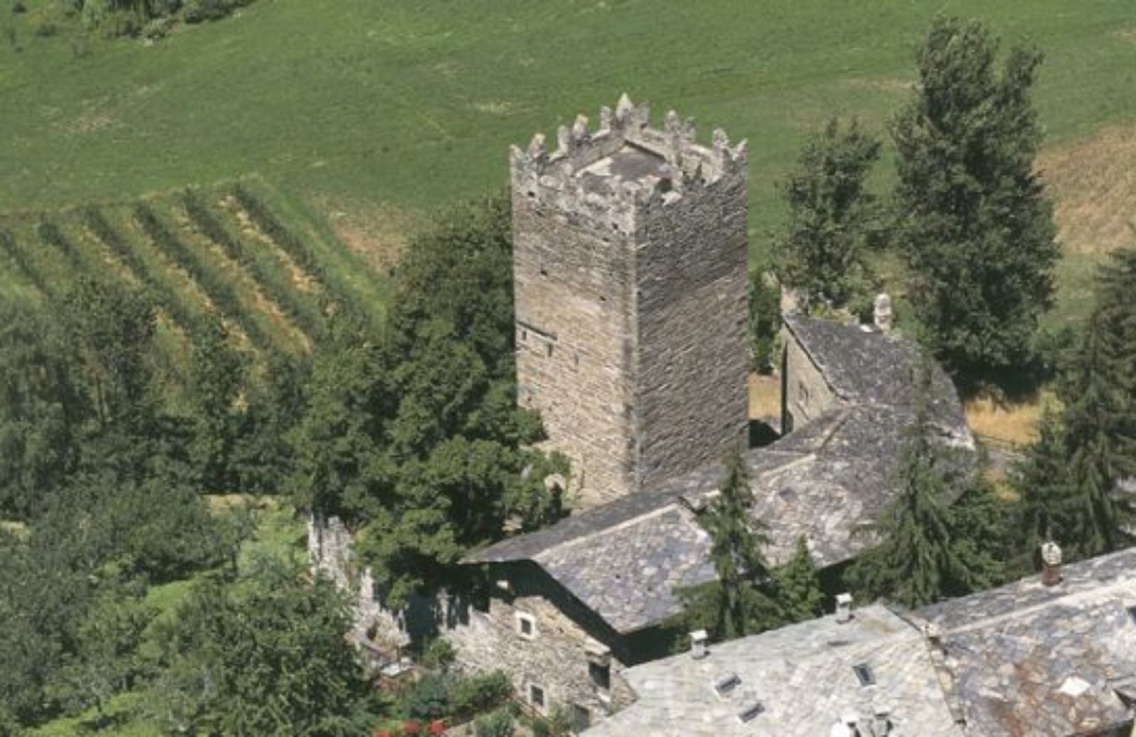 Dove le vigne sono in montagna