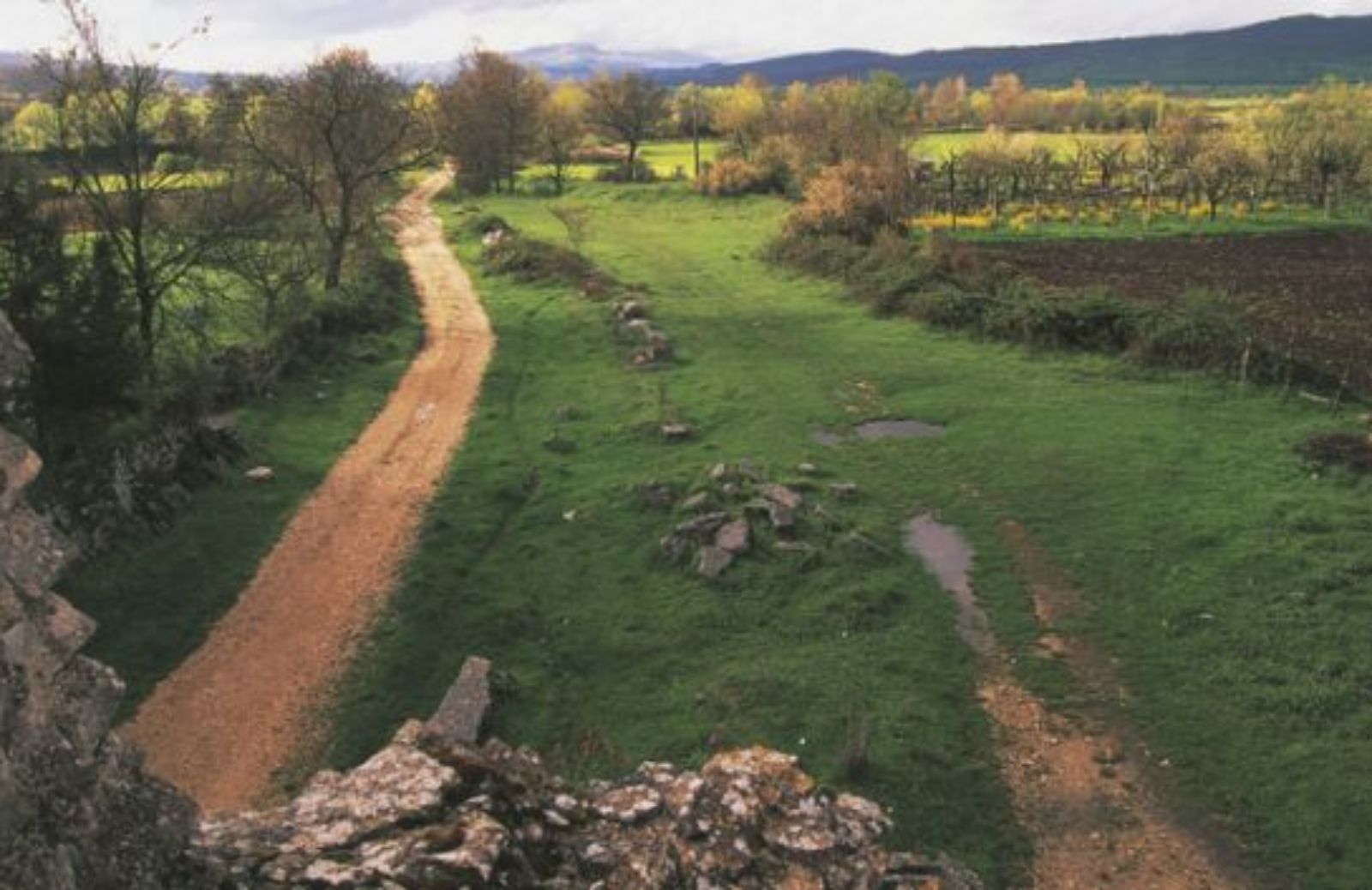 In Molise percorrendo gli antichi tratturi