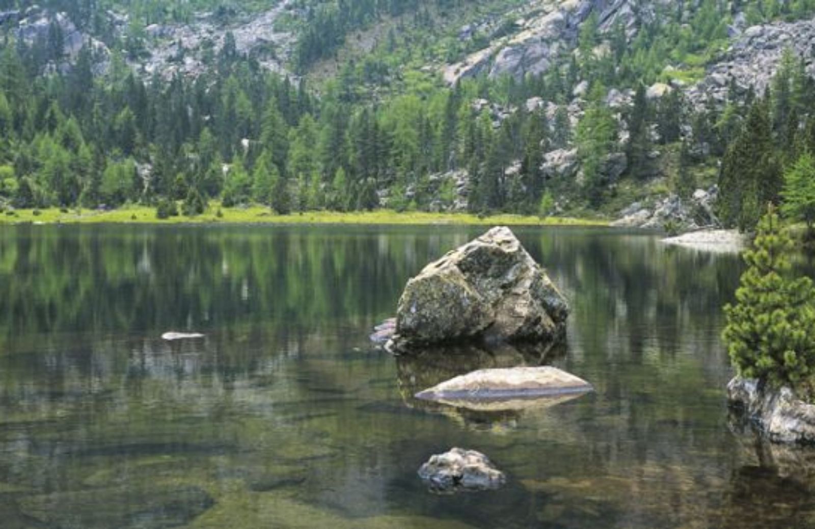 La natura incontaminata di Mont Avic