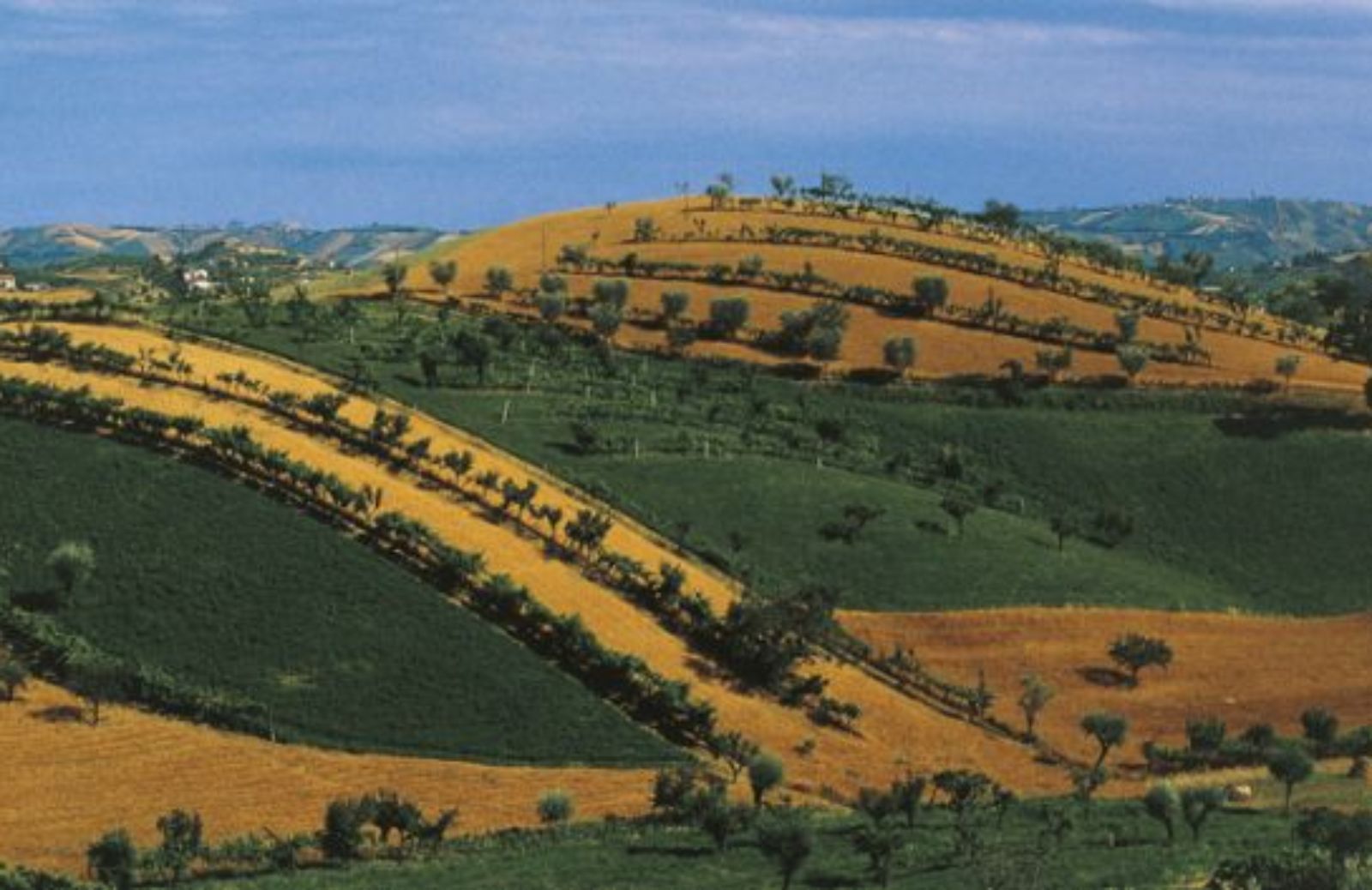 La strada del Rosso Piceno Superiore