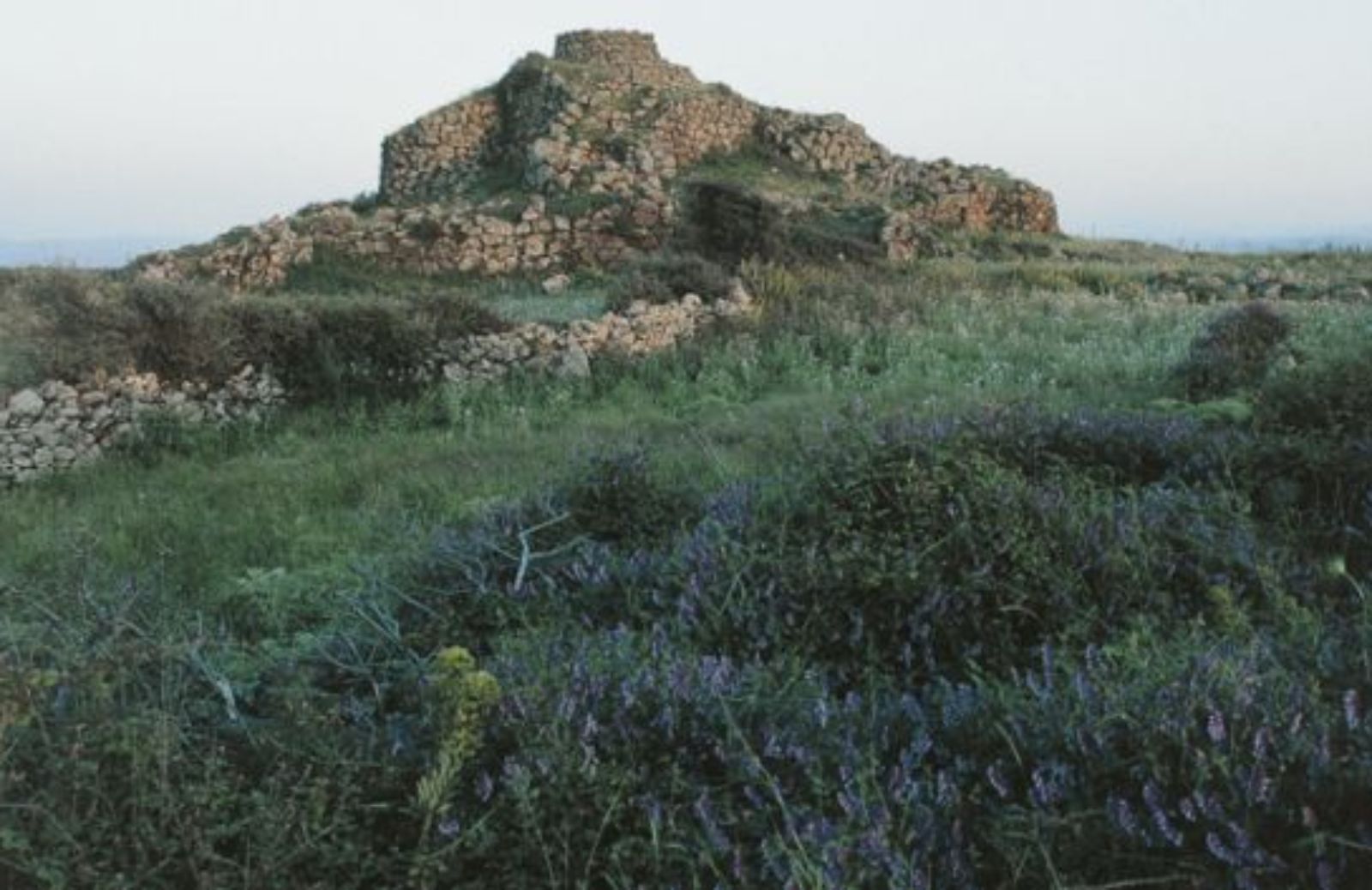 La ziqqurat di Monte d'Accoddi