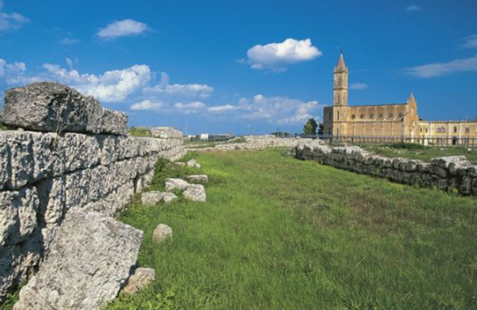 Primitivo, vino forte come il sole