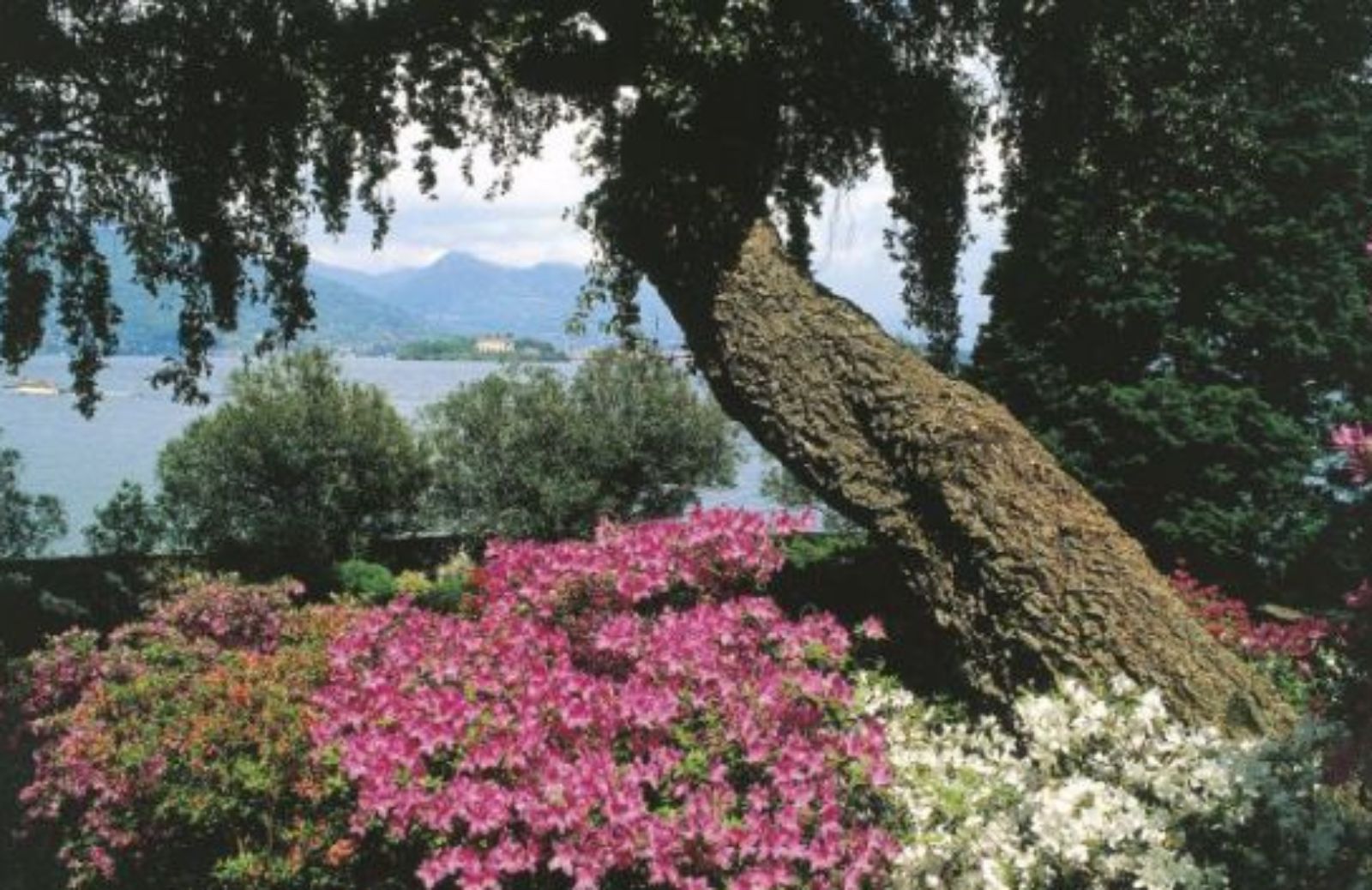 Un lago tra le montagne