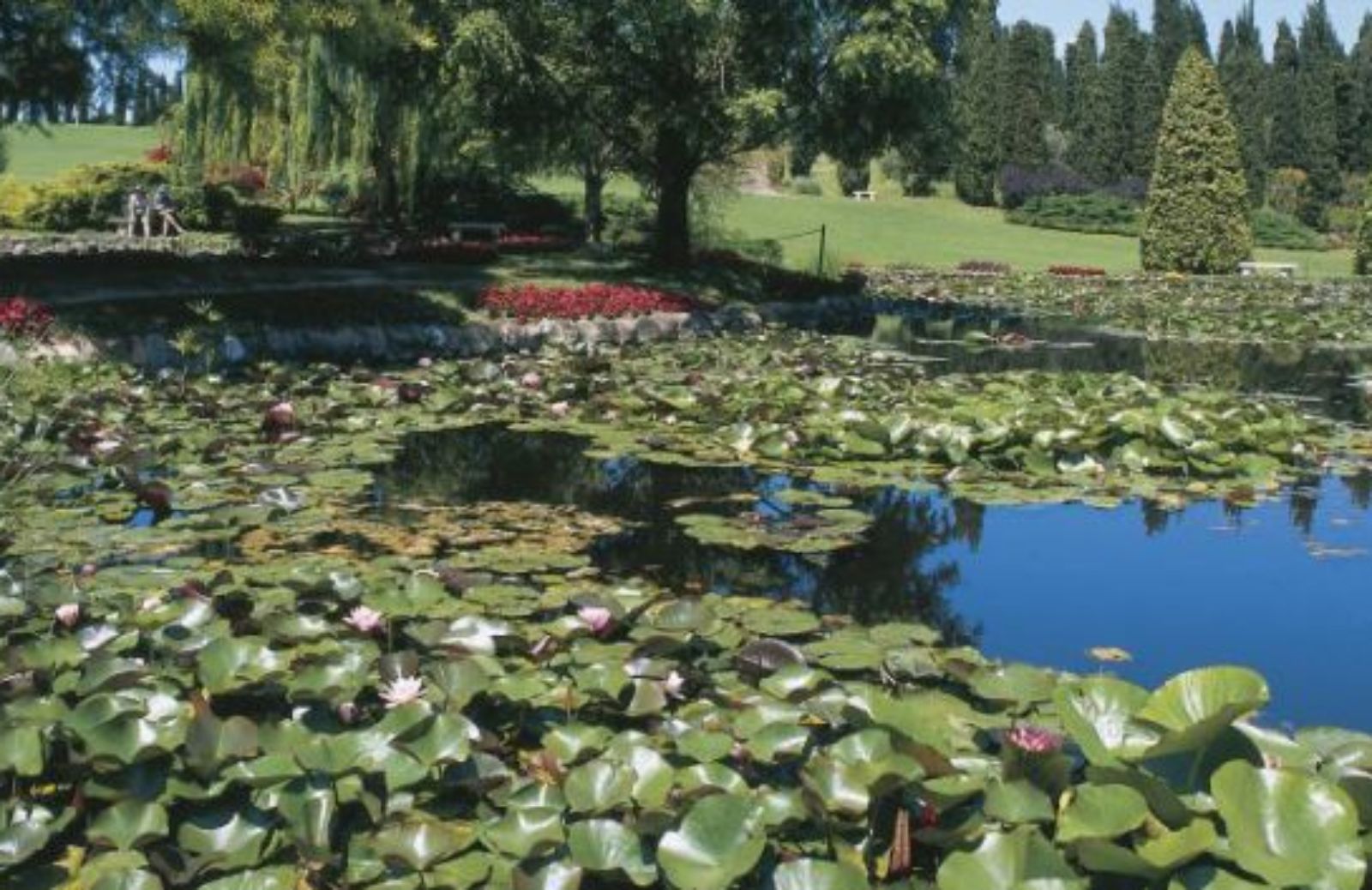 Un parco da favola sul Mincio