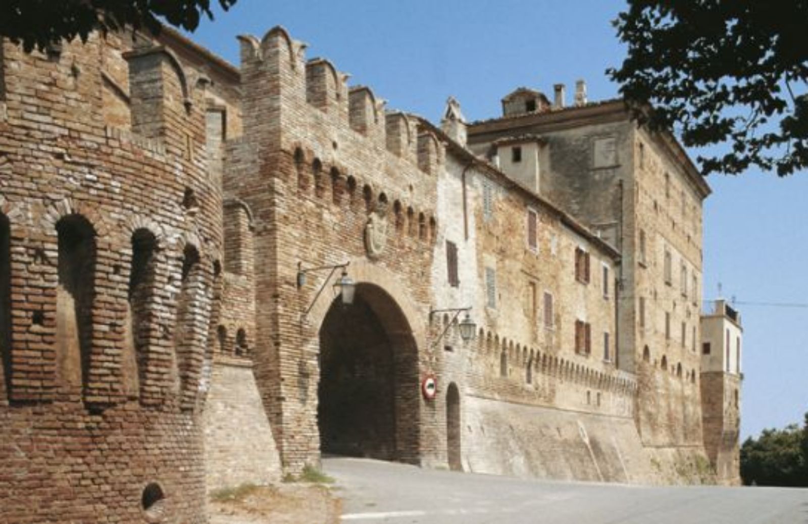 Verde come il paesaggio marchigiano