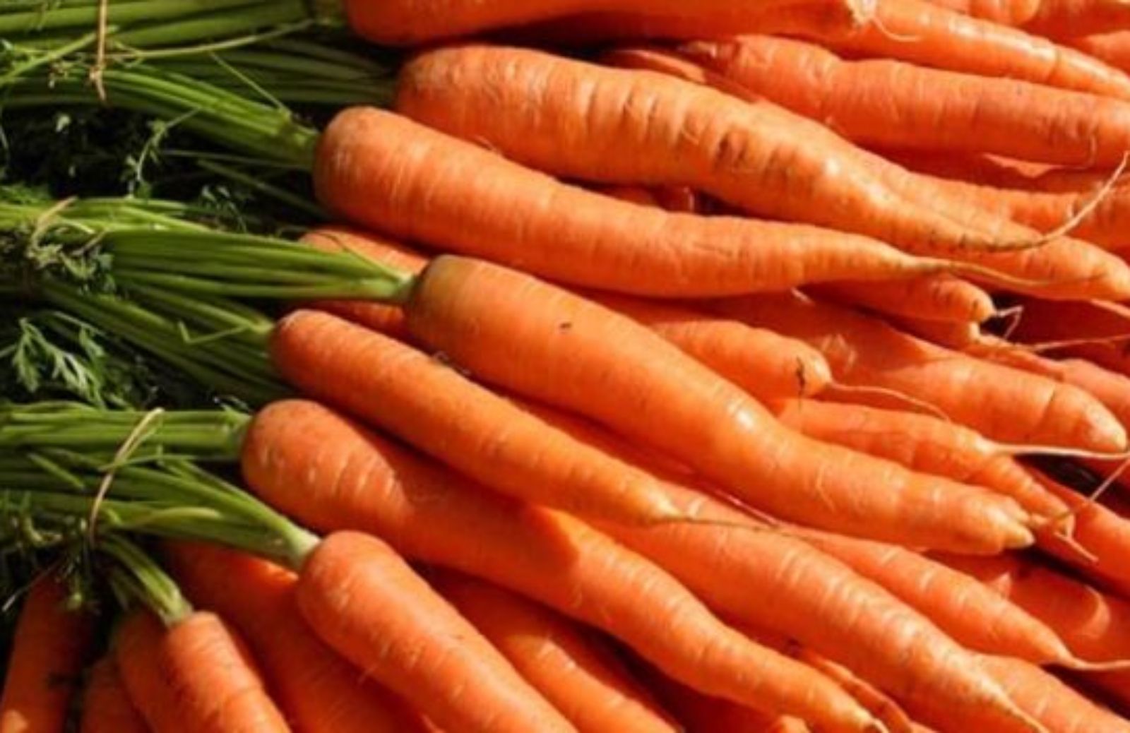 Come avere una pelle sana mangiando carote