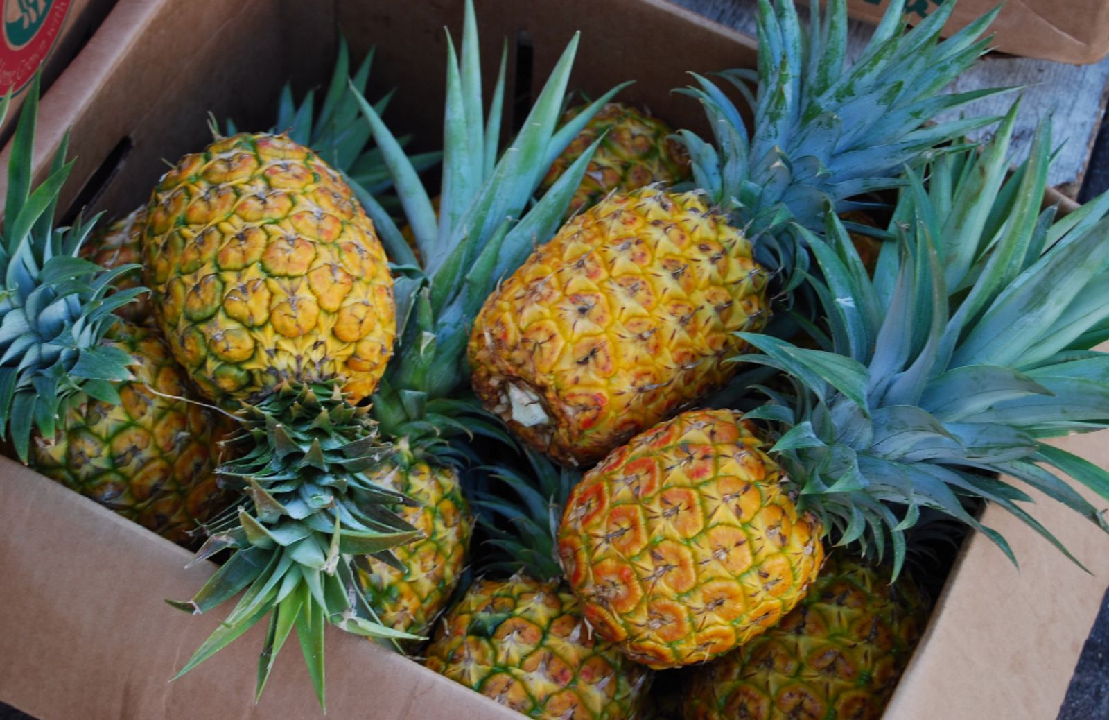 Come rinforzare le difese immunitarie e proteggere cuore e arterie con l'ananas