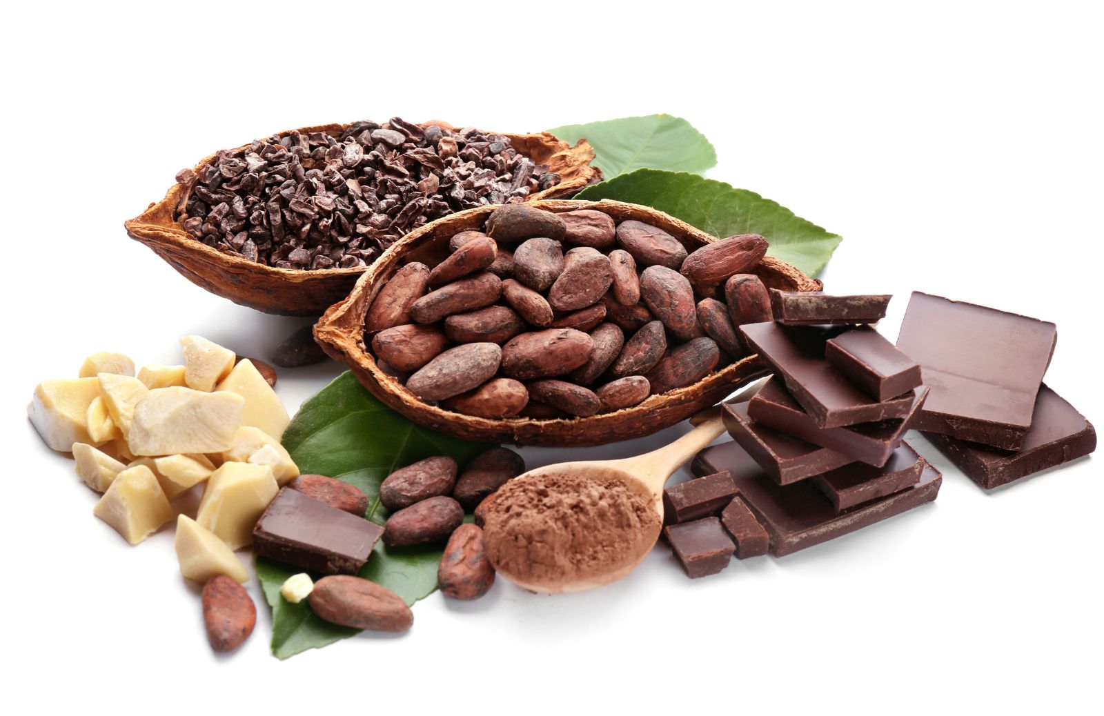 Fave di cacao: proprietà, benefici, utilizzi e controindicazioni