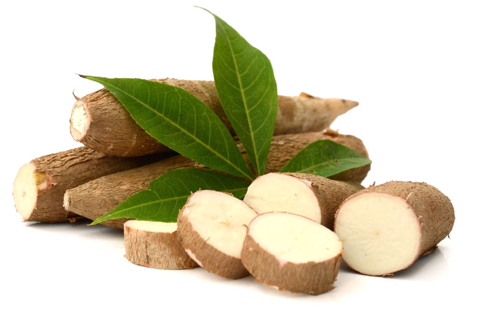 Tutto sulla manioca (o yucca): proprietà, benefici e usi