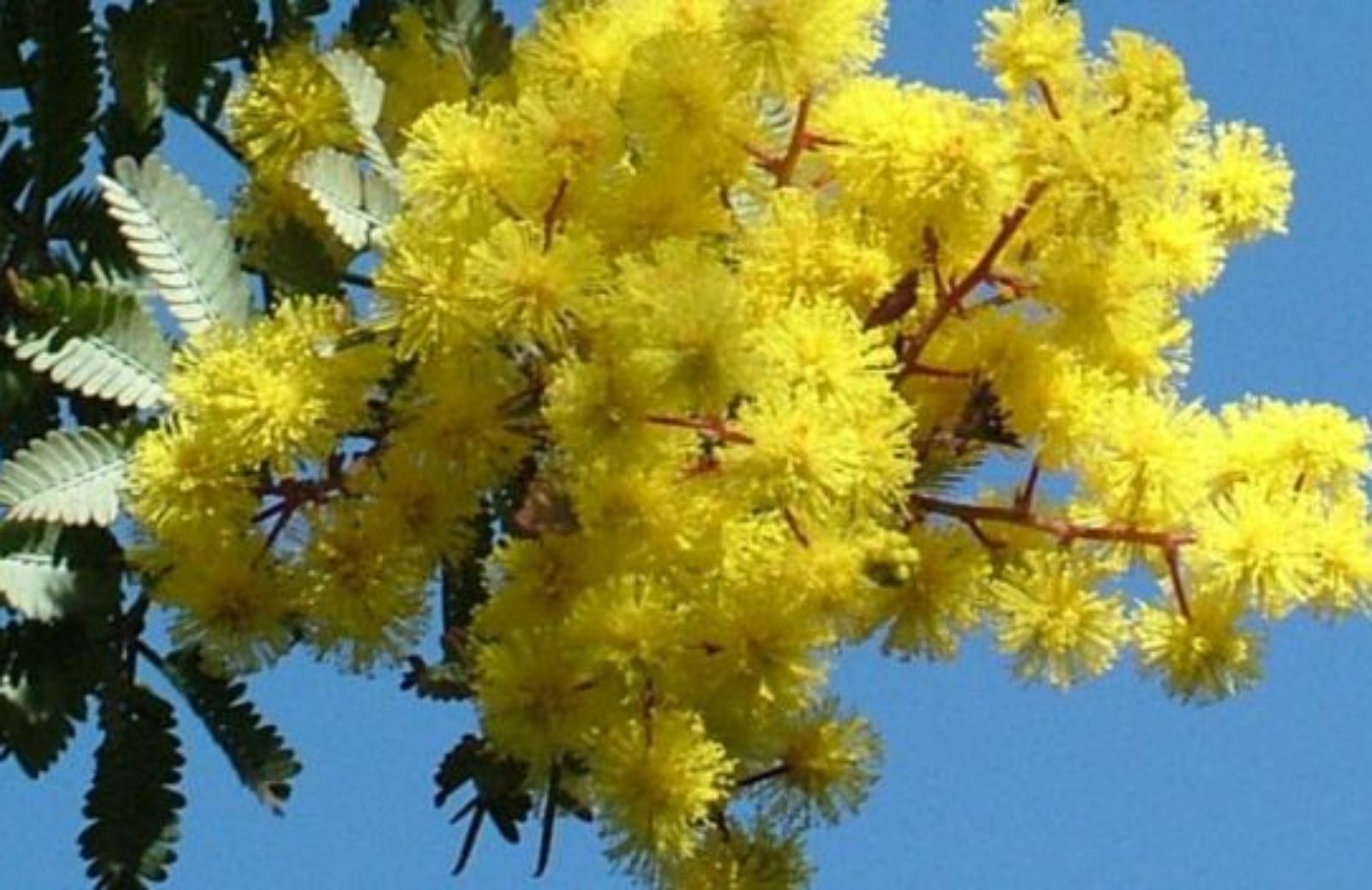 Come celebrare la Festa della Donna: le iniziative della salute (prima parte)