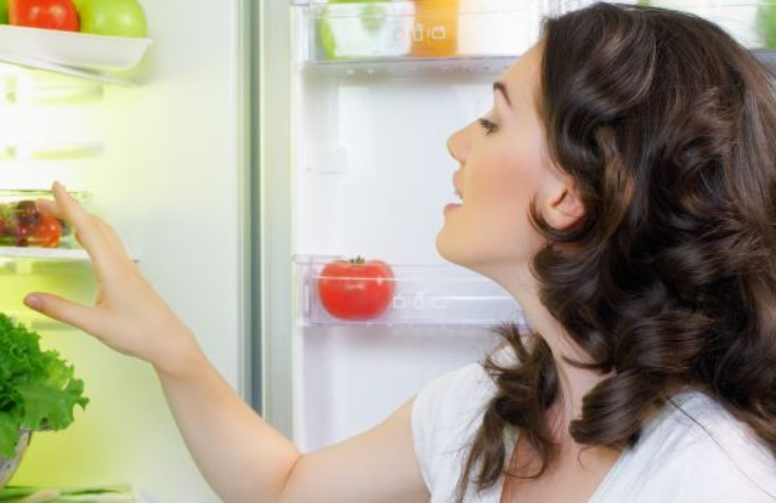 Come conservare il cibo in frigo in estate