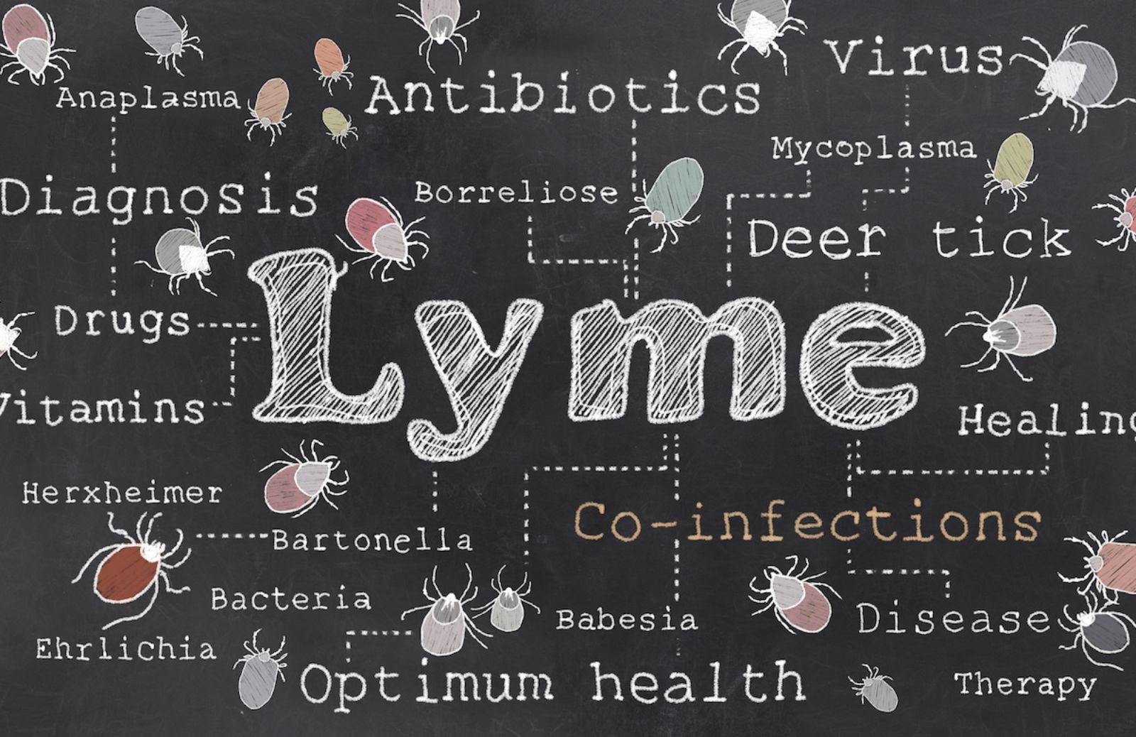 Malattia di Lyme: la cura