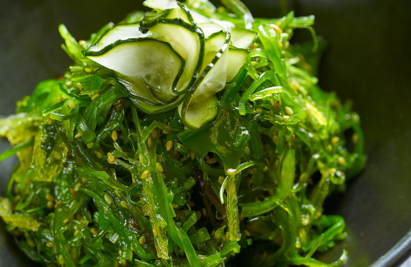 Alghe verdi: i benefici dell'ulva lactuca per l'organismo 