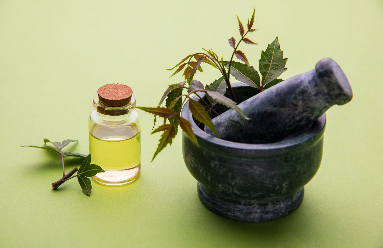 Olio di Neem: tutte le proprietà e i benefici per la salute