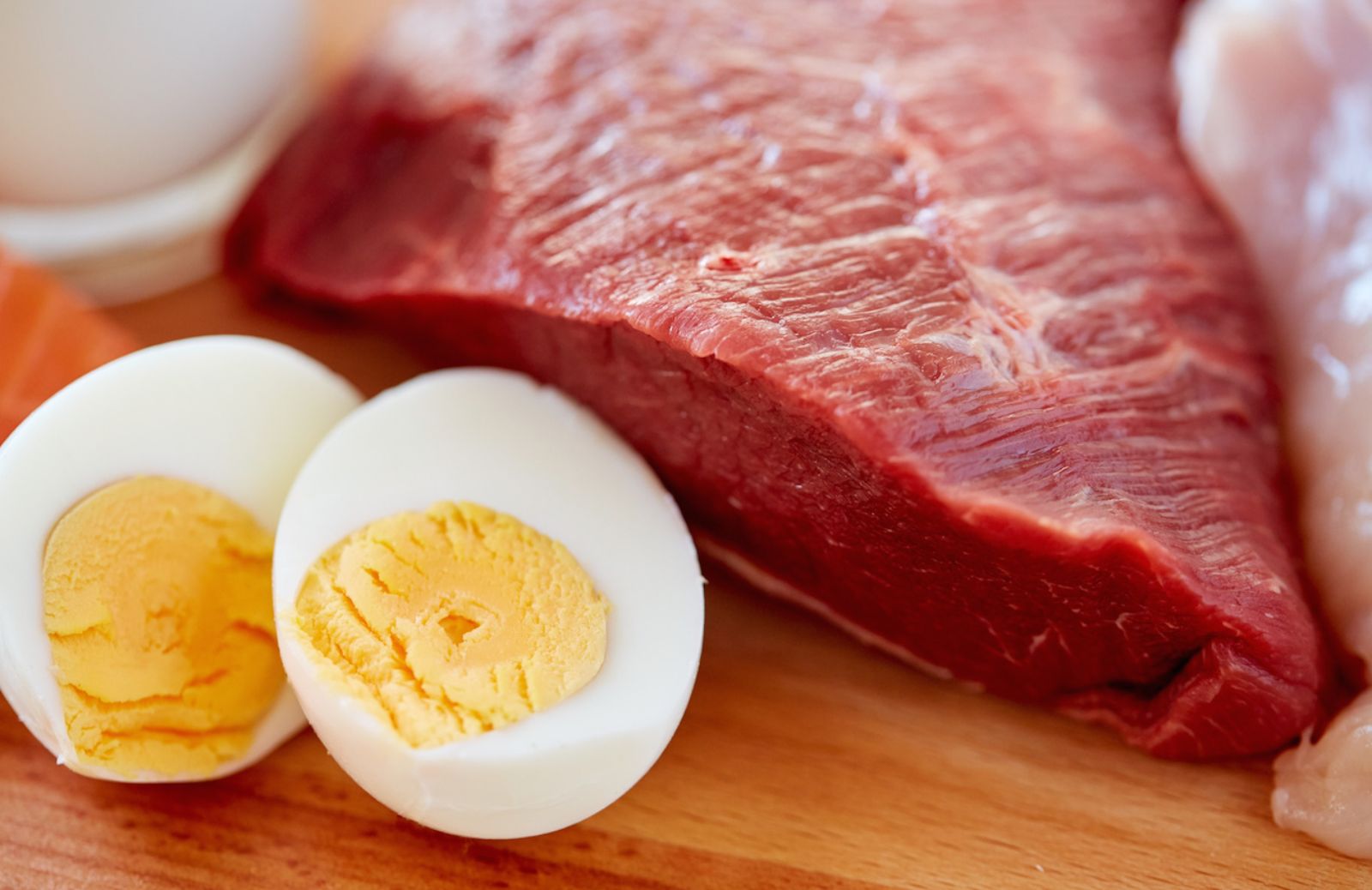 Carne e salute a Expo 2015: alla riscoperta delle proteine di alta qualità