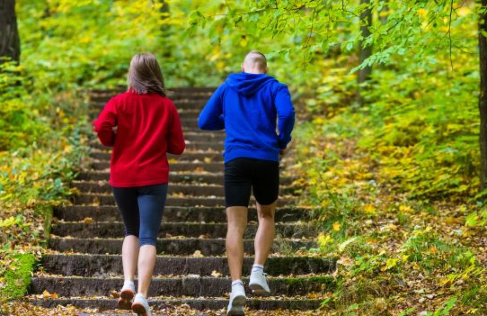 Come non perdere il ritmo senza andare in palestra