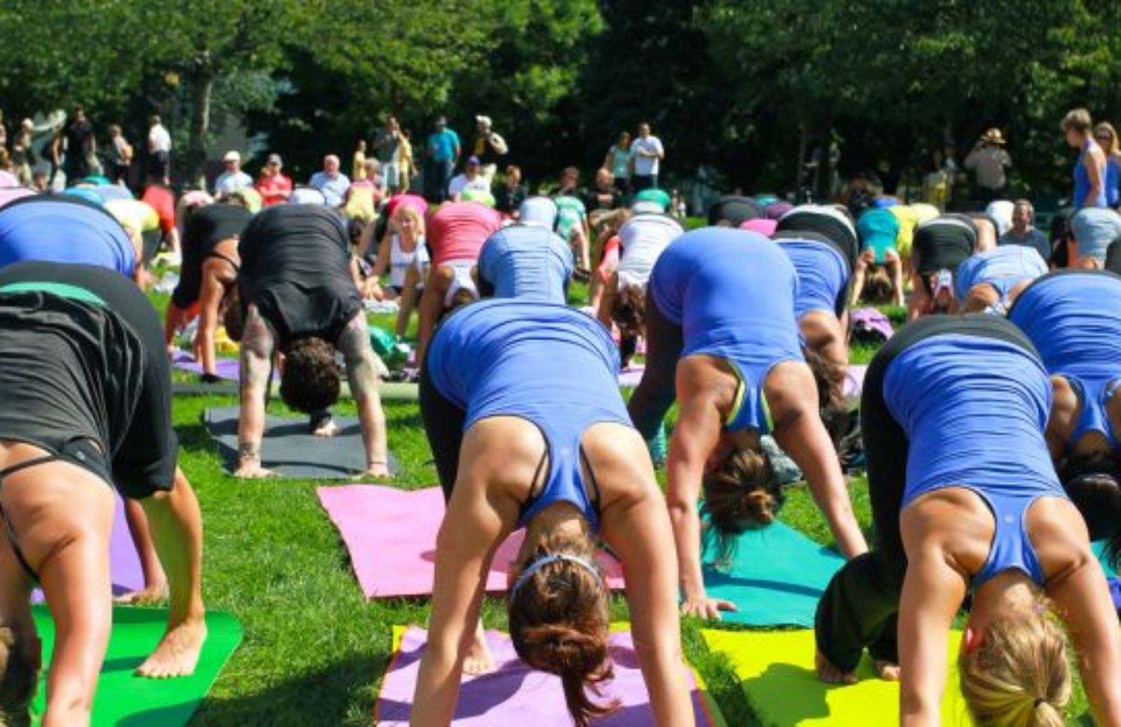 Come fare yoga in primavera (seconda parte)