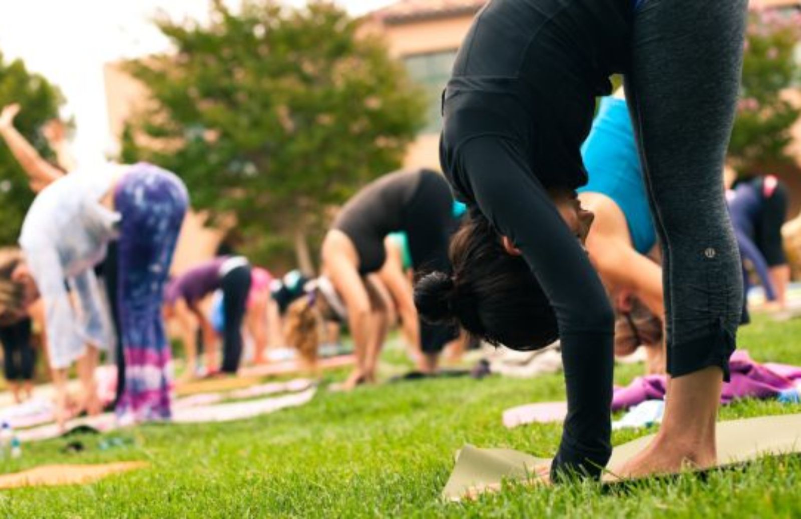 Come imparare a fare yoga: asana in piedi. Uttanasana.
