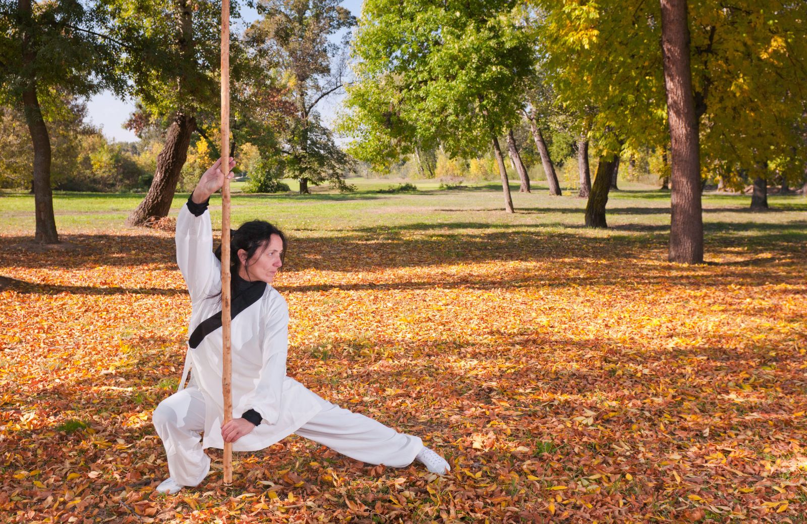 Kung fu: mente e corpo si allenano insieme