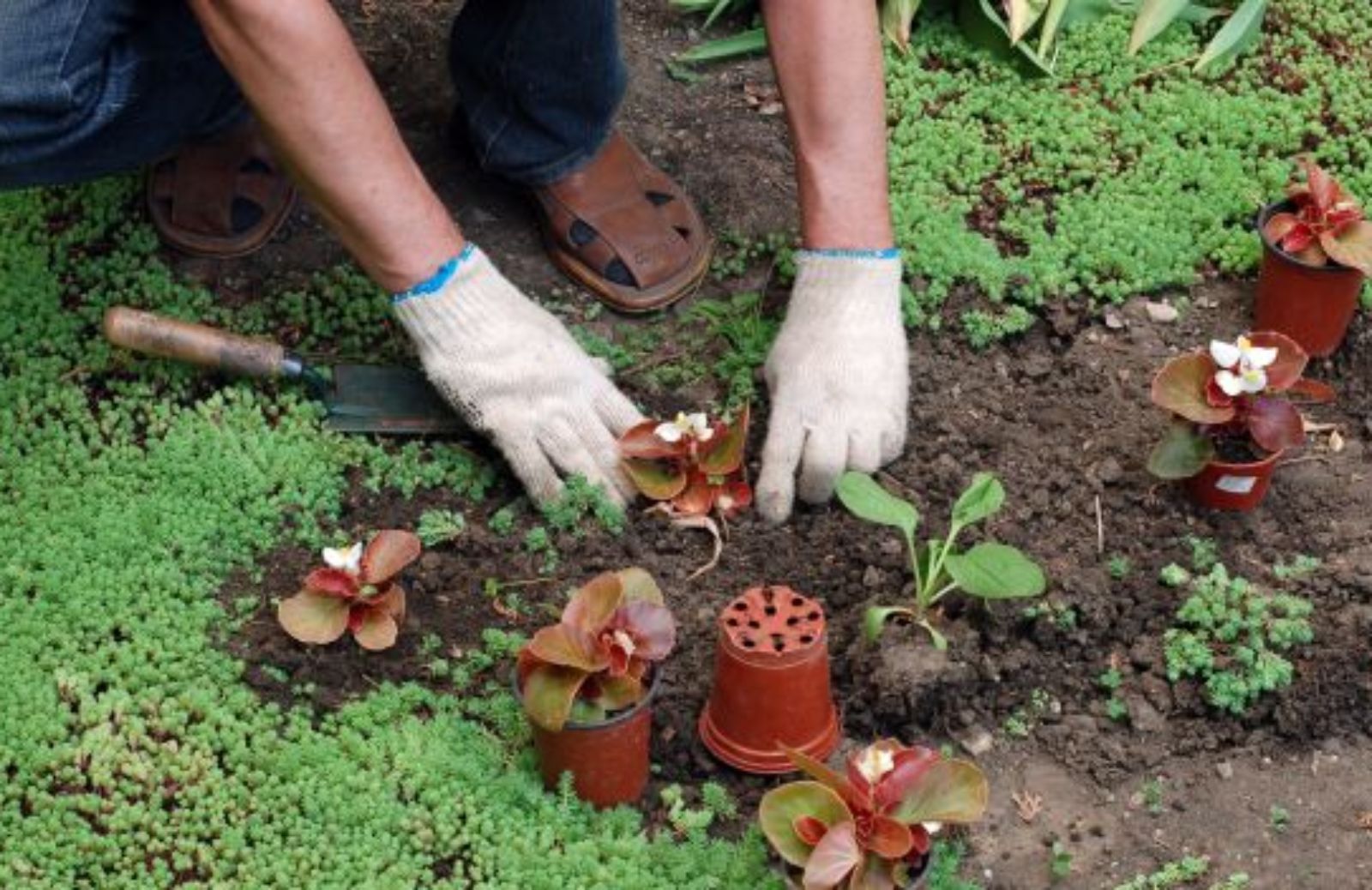 Come funziona la Green Gym