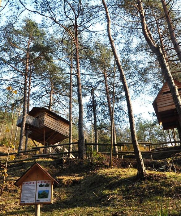 <p>Non una casa, ma un vero villaggio di case sull’albero. Nel <strong>Parco Naturale delle Dolomiti Friulane</strong>, nel comune di Claut, si trova, infatti, il villaggio di casette sugli alberi più grande del mondo. Qui le casette in legno d’abete, una dopo l’altra formano un paesaggio davvero unico. Il Tree Village è situato all'interno di un parco tematico in cui ci sono tutta una serie di opportunità di scoperta come l'Orto Biologico, il Museo all'aria aperta del Boscaiolo, il Sentiero Botanico e il Training Center di Nordic Walking, oltre a corsi di costruzione di case sull’albero.</p>
