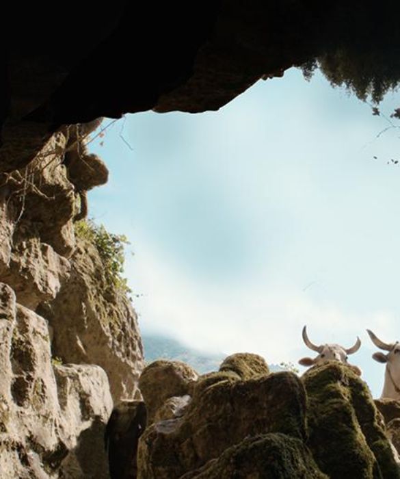 <p>Il buco (diretto da Michelangelo Frammartino) racconta la missione di un gruppo di giovani speleologi che, nell’agosto del 1961, nell’altopiano del Pollino scoprì l’Abisso del Bifurto, una delle grotte più profonde al mondo situata a 700 metri di profondità.</p>
