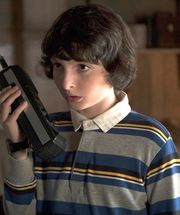 <p>In Stranger Things è Michael Wheeler, il “love interest” di Undici. È il miglior amico di Will, che scompare misteriosamente nella prima stagione, e fratello minore di <a href=