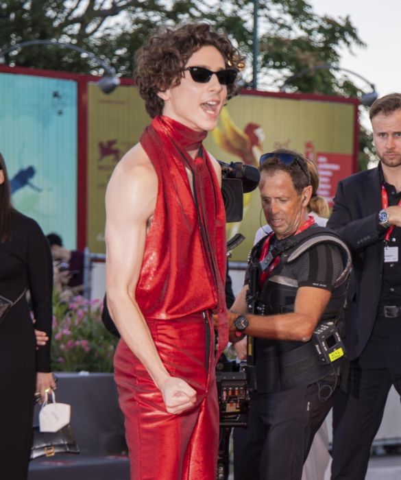 <p>Va in scena l’<strong>eleganza in bianco e nero</strong>, con pennellate di rosso fuoco e verde smeraldo. Di <strong>Venezia 79 </strong>ricorderemo lo scalpore che la nudità maschile (sì, ovviamente stiamo parlando di Timothée Chalamet) suscita quando prende in prestito qualche topos della moda femminile. God bless il red carpet del Festival di Venezia, la passerella dove il cinema è il nobile pretesto per vedere le celebrities del grande schermo (e non solo) indossare abiti da sogno. Rifacciamoci gli occhi con i <strong>9 look</strong> che abbiamo apprezzato di più.</p>