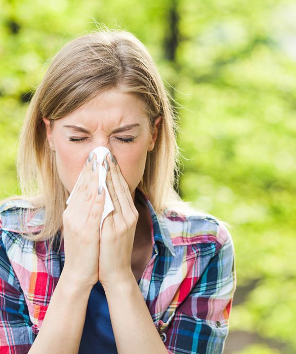 <p>Sembra quasi scontato dire che le allergie primaverili sono scatenate dai pollini: sì, ma quali? Sono numerose le piante che possono provocare rinite o congiuntivite allergica nei soggetti allergici. Conosciamole meglio!</p>
