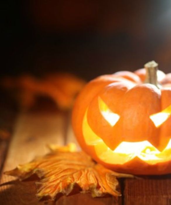 L'ortaggio tipico dell'autunno abbinato ad una semplice candela rende la Jack lanterna una delle
decorazioni più diffuse per questa festa: basta avere tanta creatività e pazienza per svuotare e
intagliare la zucca e lo spavento è assicurato!