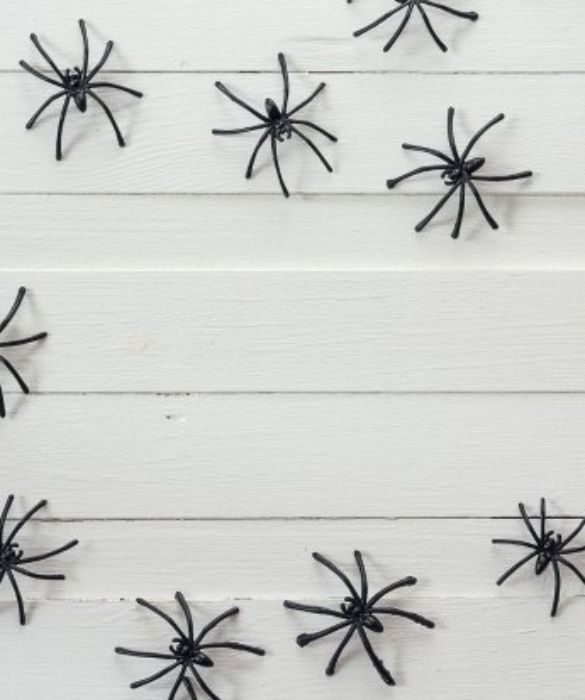 Di solito ne siamo terrorizzati, e proprio per questo, il 31 Ottobre i ragni sono una delle decorazioni più utilizzate e che più mettono paura. Durante l'anno cerchiamo di scacciarli dalle nostre case appena li avvistiamo, per questa festa invece cerchiamo di realizzarne delle copie spaventose, anche più grandi del normale!