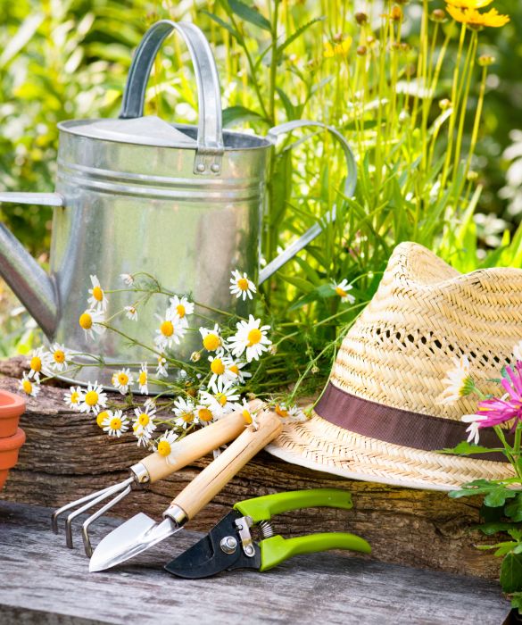 Se avete un giardino o anche un grande balcone pieno di piante non può mancarvi l'attrezzatura giusta per il giardinaggio. Guanti di plastica per non sporcare le mani, grembiule per non bagnarsi o sporcare i vestiti, palette, vasi di diverse dimensioni, annaffiatoio, scopa e rastrello. 