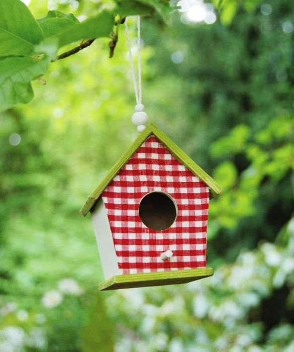 Un giardino ben curato è un posto incantevole dove trascorrere del tempo non solo per gli uomini, ma anche per gli uccelli. Prepariamo una casetta di legno per accogliere questi graditi ospiti e farli sentire a loro agio e invitiamoli ad avvicinarsi senza timore offrendo del mangime.