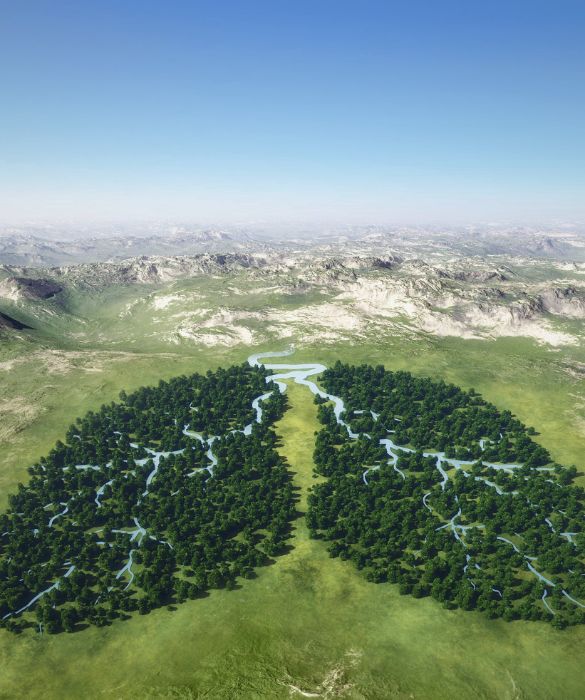Si può andare dove si vuole a patto che si rispetti l'ambiente e la natura. Gli alberi sono la
