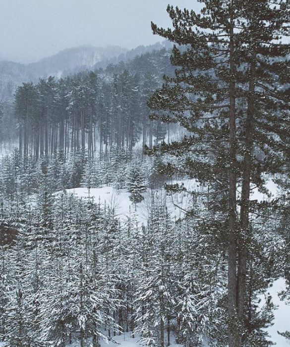 Nell'altopiano della Sila c'è la stazione sciistica di Villaggio Palumbo, vicino al comune di Cotronei, ai piedi del Monte Gariglione, nei pressi del lago Ampollino. Vi sono una ventina di km di piste per sciatori e snowboarder.