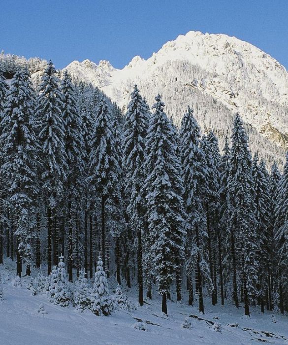 Tarvisio è una delle località sciistiche più belle delle Alpi Orientali Friulane, posto in Val Canale, sul confine tra Italia, Slovenia e Austria. Vi aspettano 25 km di piste per un dislivello di oltre 1000 metri.