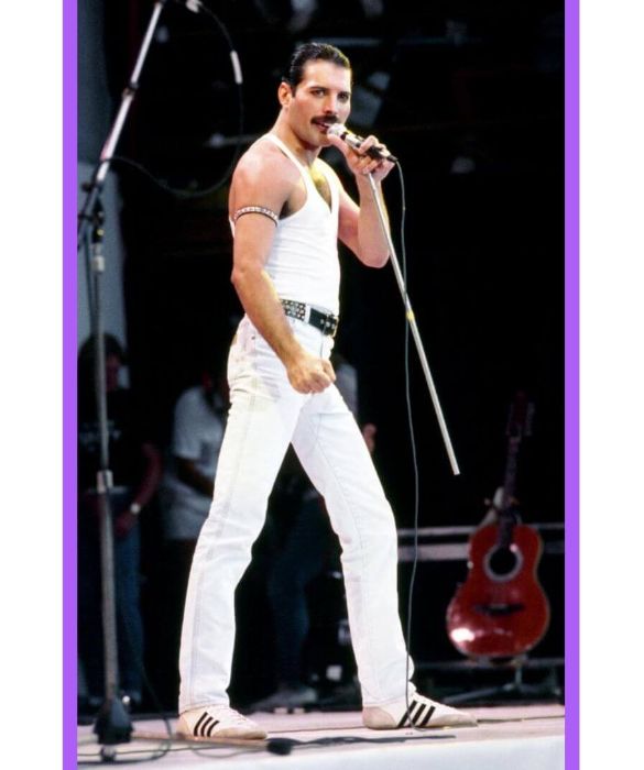 Dichiaratamente omosessuale in un periodo in cui anche solo pensarlo era quasi impossibile, Freddie Mercury rimane icona gay e musicale per eccellenza. Esagerato e provocatorio sul palco, teatrale e sfacciato nei video, la sua storia è stata recentemente raccontata nel film Bohemian Rhapsody che ha ricevuto ben 4 Oscar.
