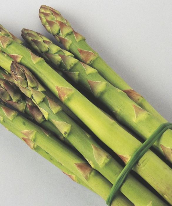 Via libera agli asparagi, una verdura molto nota per favorire la diuresi.