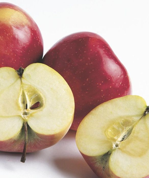 Le mele sono un'alimento salutare su moltissimi fronti: per la pancia fanno bene soprattutto se ingerite con la buccia, avendo un effetto drenante.
