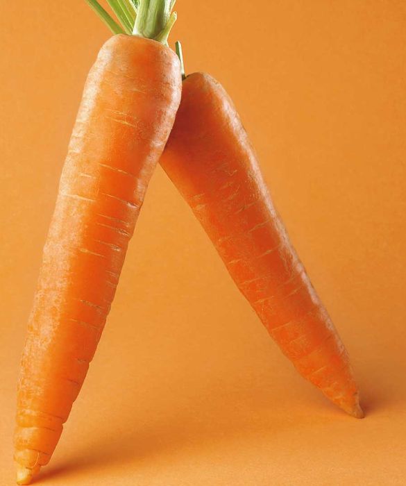 Appartengono al gruppo degli ortaggi giallo-arancioni la carota, la zucca, il peperone giallo e il mais. Il loro colore si deve alla loro ricchezza di beta-carotene, una sostanza che il nostro organismo tramuta in vitamina A, preziosa per mantenere una vista acuta e una pelle giovane.