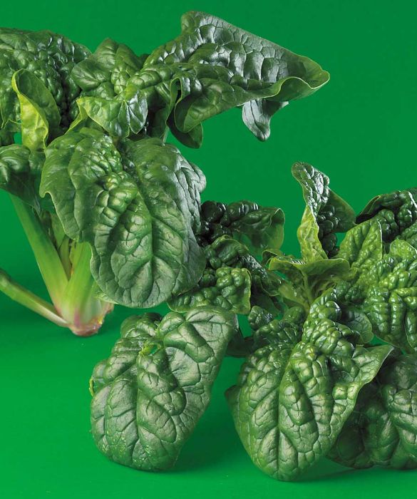 Spinaci, insalata e altre verdure a foglia contengono molto acido folico (vitamina B9), che tiene lontana la depressione.